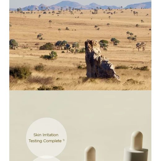 SKIN 1004 - Madagascar Centella Ampoule 50ml - Skin1004 - Image 7