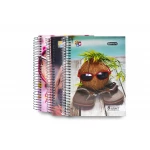 ABC Bravo College Notebook, A4 (6) HC - Bravo