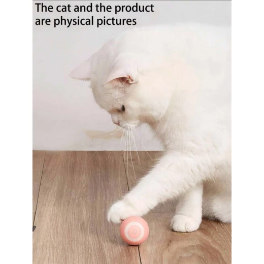 Rechargeable smart cat teasing ball toy Rechargeable smart cat teasing ball toy