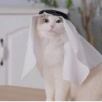 A stylish shemagh and agal for the cat from pets, one size - Pets