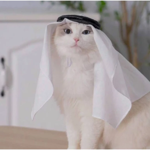 A stylish shemagh and agal for the cat from pets, one size A stylish shemagh and agal for the cat from pets, one size