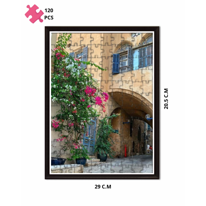 بيوت فلسطين المصادرة بقياس 20.5 سم × 29 سم - فلكلور