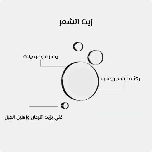 زيت نمو الشعر الطبيعي 100٪ بزيت الأرغان وإكليل الجبل, يغذي ويقوّي ويزيد كثافة الشعر  100 مل من أوشيا - اوشيا - Image 2