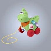 Push & Pull Toys