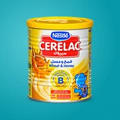 الحبوب والعصيدة