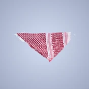 القبعات