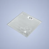 التمارين واللياقة البدنية