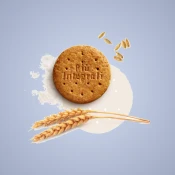 القمح
