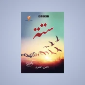 الأدب العربي