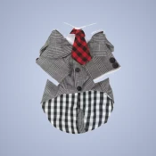 Apparel & Accessories