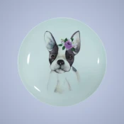 Bowls & Dishes