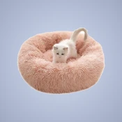 Beds