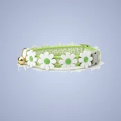Collars, Harnesses & Leashes
