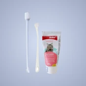 Dental Care