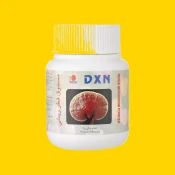 مكملات الفطر