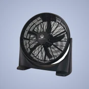 Fans