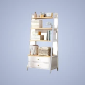 Bookcases & Shelves