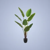 Artificial Plants & Greenery