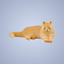 اﻧﺸﺎء ﺣﺴﺎﺏ ﺟﺪﻳﺪ