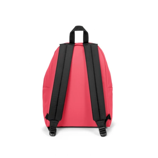 Eastpak Padded Pak’r Cupcake Pink Backpack – 40 × 30 × 18 cm, 24 L Travel/School Daypack, Durable Polyester, Padded Back & Front Zip Pocket - Eastpak - Image 2