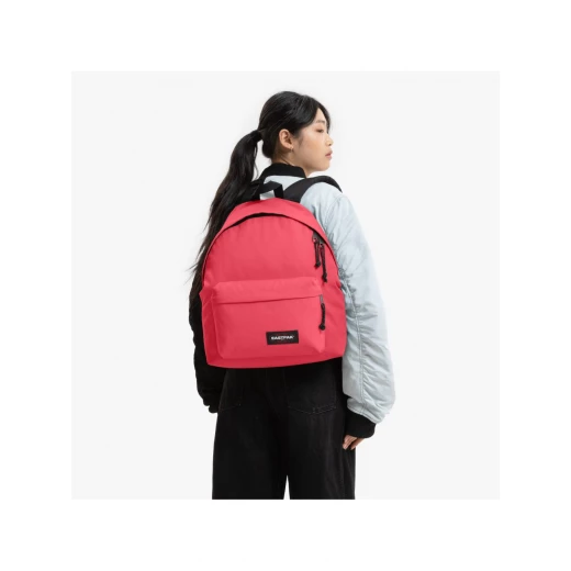 Eastpak Padded Pak’r Cupcake Pink Backpack – 40 × 30 × 18 cm, 24 L Travel/School Daypack, Durable Polyester, Padded Back & Front Zip Pocket - Eastpak - Image 4