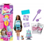 Mattel Barbie Birthday Doll Collection: Special Edition Dolls for Celebrations & Imaginative Play - Barbie