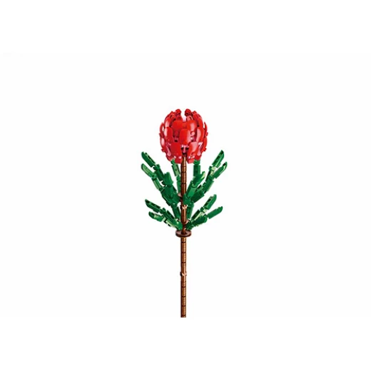 Sluban Tibouchina Urvilleana Building Blocks Set 243 Pieces Pleyerid Series - Sluban - Image 3